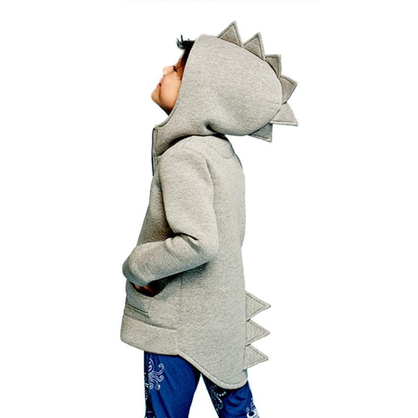 Boys dinosaur hoodie