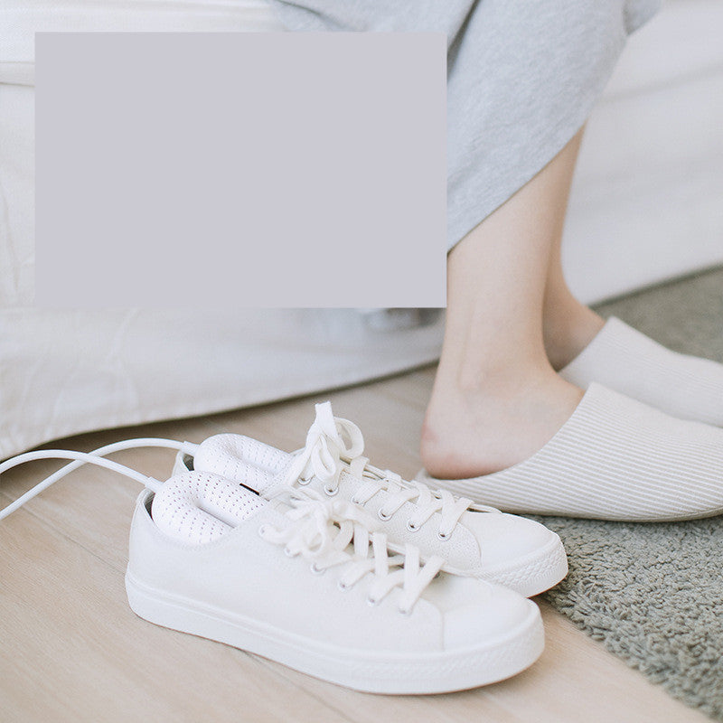 Intelligent shoe dryer 